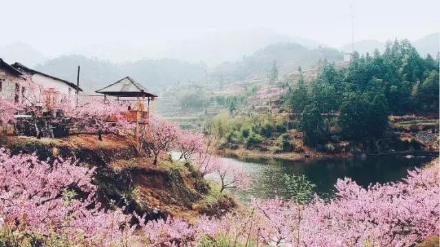 中國的桃花源和西方的烏托邦，是全人類的精神遺產(chǎn)